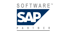 SAP Software Partner